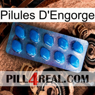 Engorge Pills viagra1